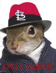 rally-squirrel-moves-to-Ballwin.jpeg